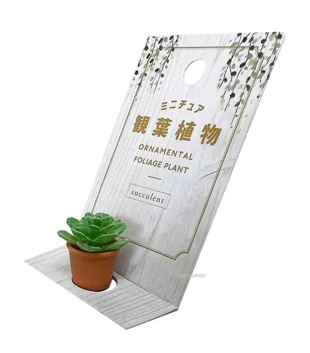 BRANDLESS MINI PLANT